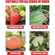 thumbnail image 5 of Muyoka MTFun Bend The Plant Clips, Plant Bending Clip 10Pcs 90 Degree con suministros de jardín para jardinería para césped para jardín de vegetales para plantas Muyoka Hogar, 5 of 7