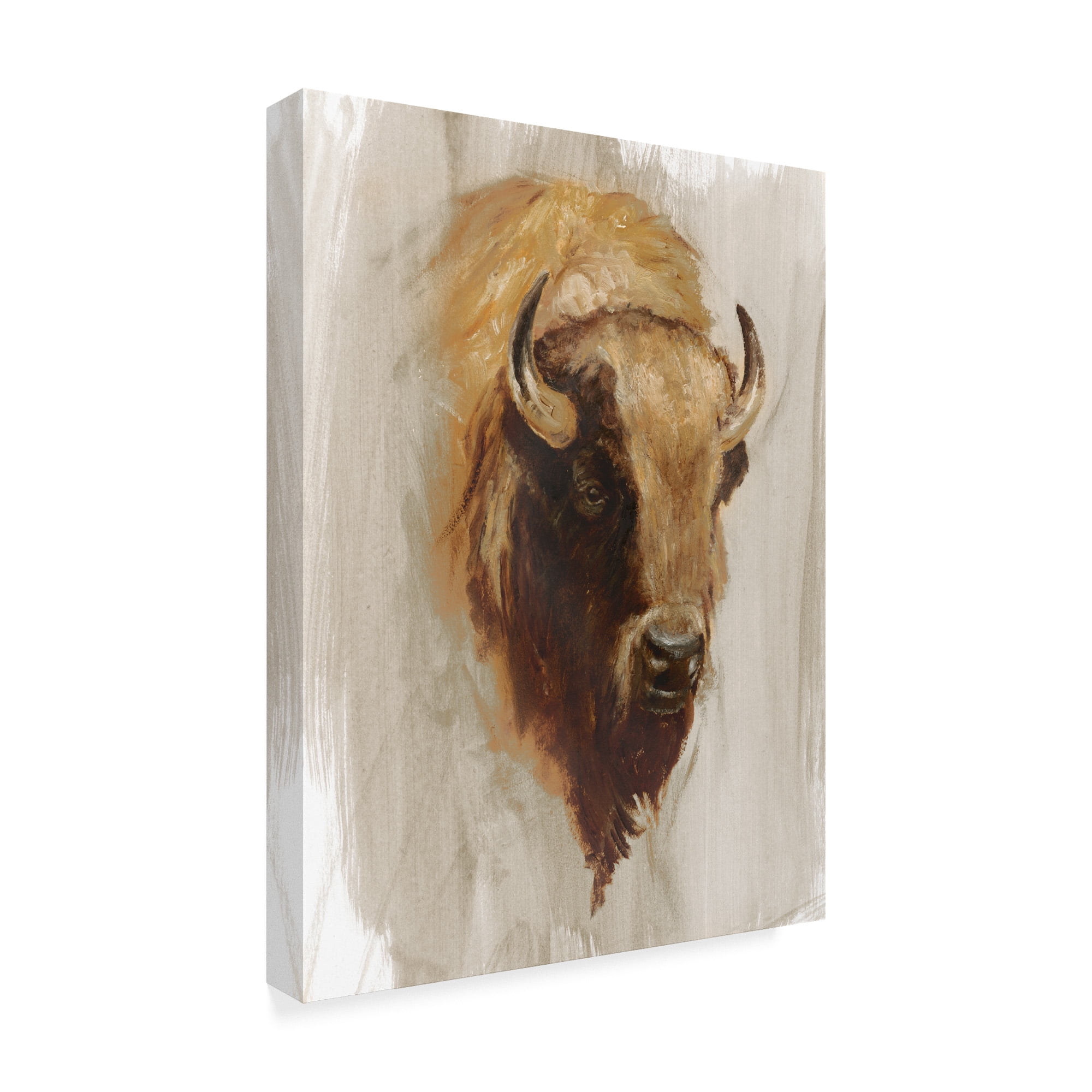 Trademark Fine Art 'Western American Animal Study III' Canvas Art by Ethan Harper