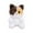 C, variant on Calico Cat Plush Cat Stuffy – Calico Cat Stuffed Animal Stuffed Cat Plush Cute Soft Small Plushies Toys Gifts(A)