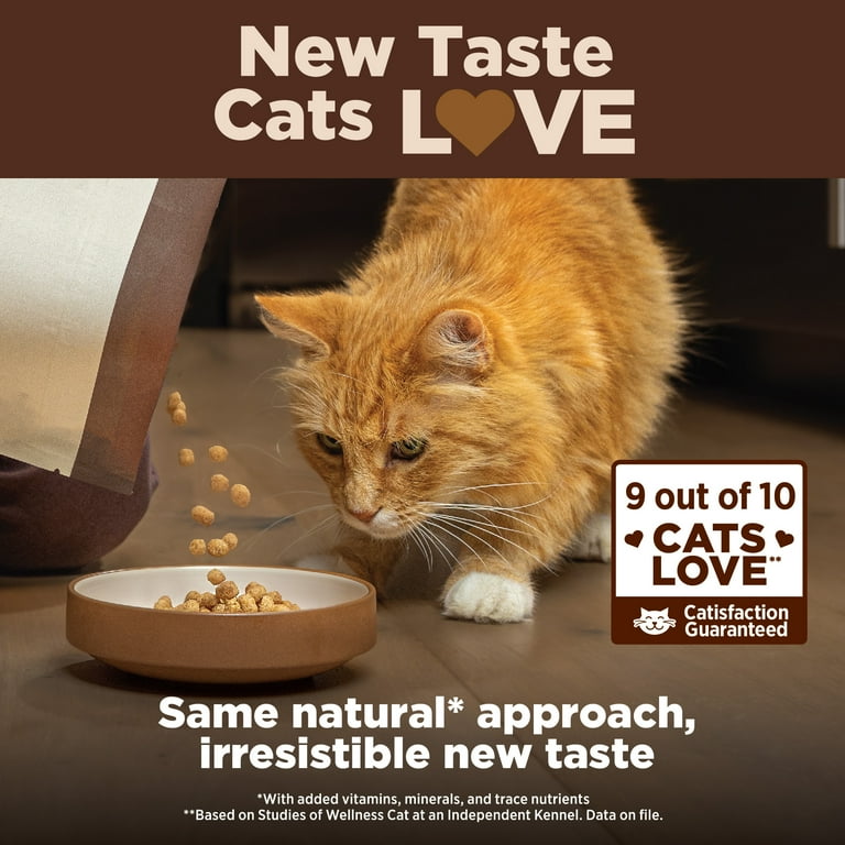 Wellness CORE Natural Grain Free Dry Cat Food Indoor Chicken Turkey Recipe 5 Pound Bag
