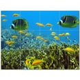 thumbnail image 1 of Coral Fish Underwater Ceramic Tile Mural Kitchen Backsplash Bathroom Shower 402999-XL43, 1 of 3