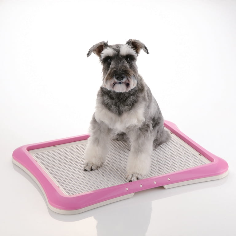 Hondentoilet, indoor hondenkattenbak met gesimuleerde wand, Geplande urineren Mesh Potty Tray Corgi Potty Training Toilet, Franse Bulldog Training Tray Dog Training Toilet voor kat (Zwart