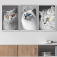 thumbnail image 2 of wall26 3 Panel Framed Canvas Wall Art - Cute Cats Partially Colored Eyes - Giclee Print Gallery Wrap Modern Home Art Ready to Hang - 24"x36"x3 White, 2 of 5