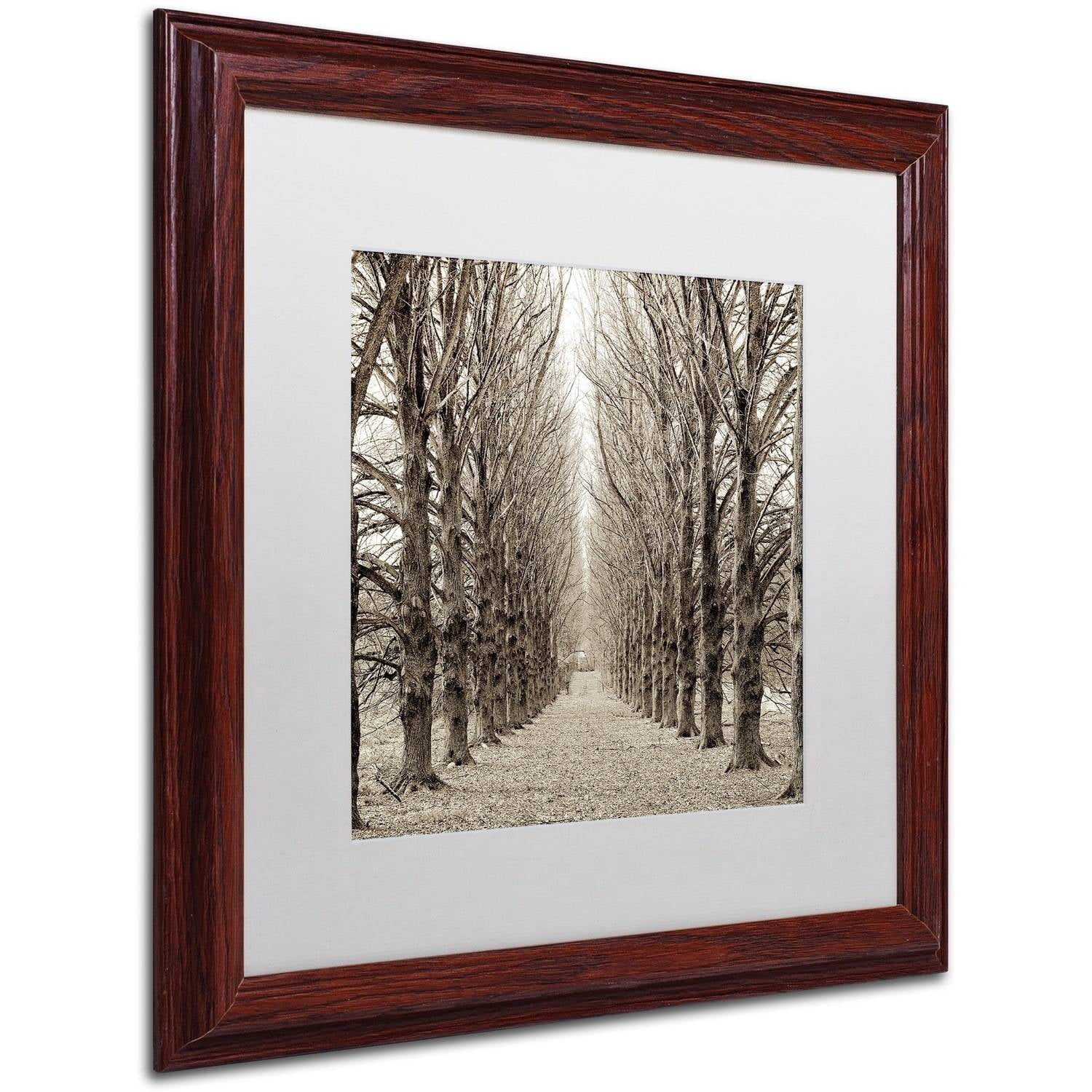 Trademark Fine Art "Hampton Gates Promenade III" Canvas Art by Alan Blaustein, White Matte, Wood Frame