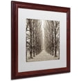 thumbnail image 2 of Trademark Fine Art "Hampton Gates Promenade III" Canvas Art by Alan Blaustein, White Matte, Wood Frame, 2 of 4