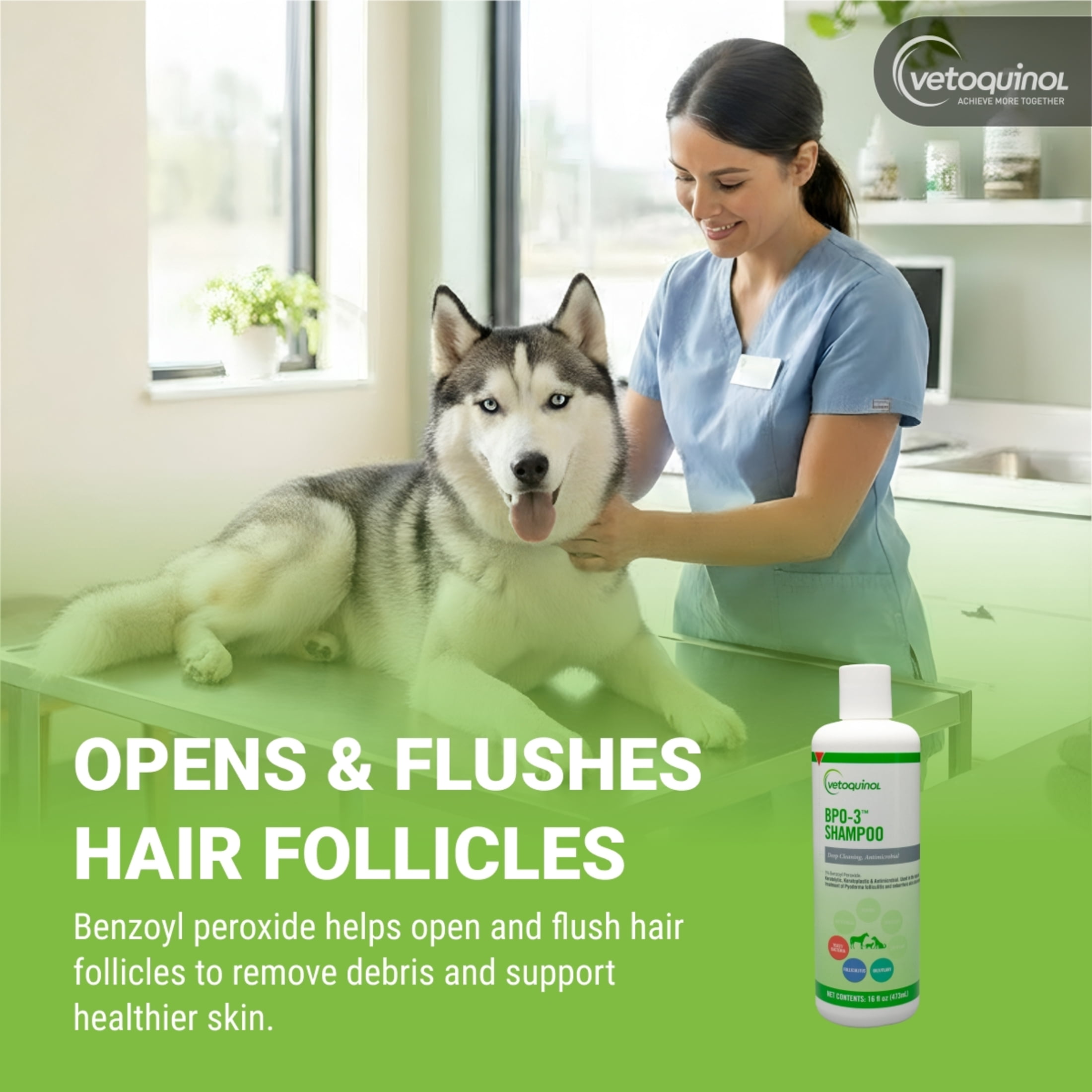 Vet Solutions BPO3 Shampoo with 3% Benzoyl Peroxide for Dogs and Cats - 16 fl oz