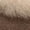Rocky Oak, variant on UGG WOMENS Tazzette Womens "Rocky Oak" 1134810 RYK 1134810 RYK from Stadium Goods