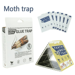 Pheroways Clothes Moth Traps, Safe Moth Traps for Closet Clothing and  Carpet Moth Traps, Effective Guaranteed (4 Pack) 