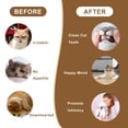 thumbnail image 3 of Adjustable cat wand toy, interactive cat teaser for indoor use, bungee cord with bell - durable, stretchy and irresistible catnip alternative, 3 of 8