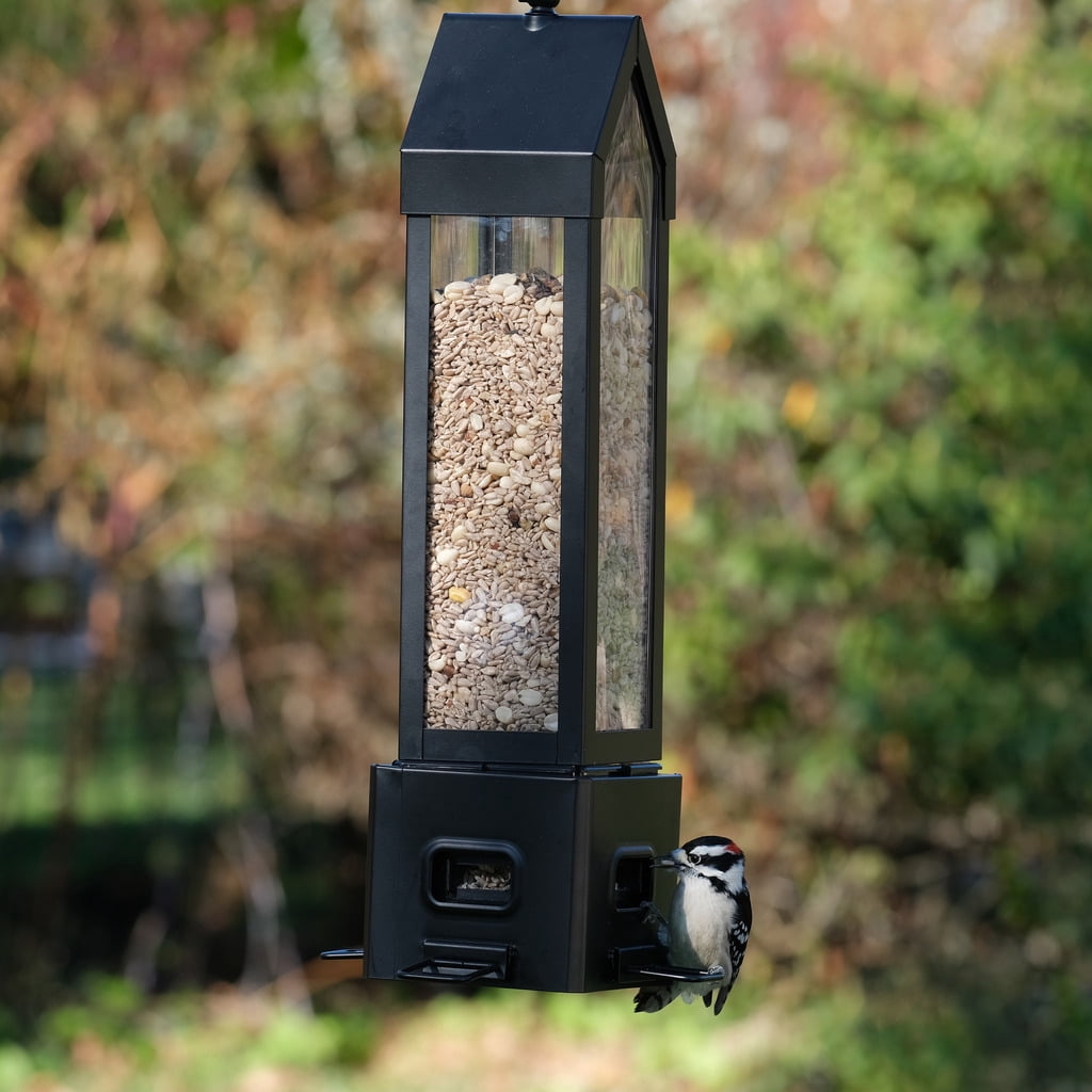 Squirrel Shield Metal Squirrel Proof Choice Lantern Feeder 3.1QT, Black