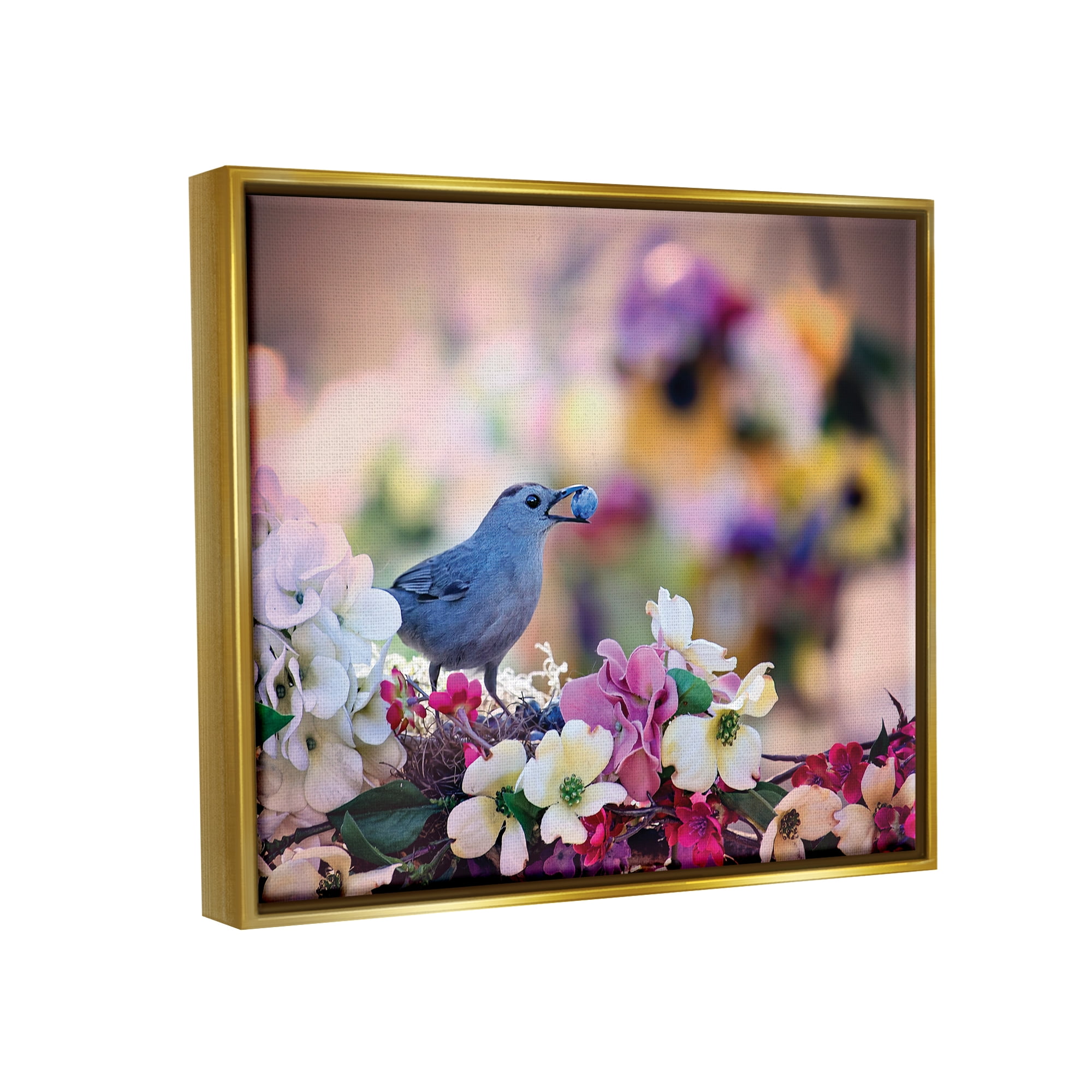 Stupell Industries Bird with Spring Flowers Animals & Insects Photography Gold Floater Framed Art Print Wall Art, 21 x 17