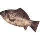 thumbnail image 1 of Fish Pencil Case Funny Zipper Pouch Novelty for School Classroom, 1 of 5
