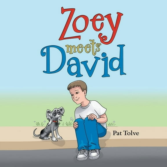 Zoey Meets David, (Paperback)