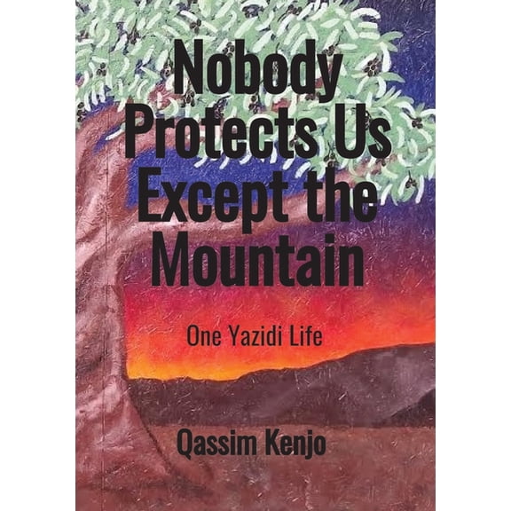Nobody Protects Us Except the Mountain: One Yazidi Life, (Paperback)