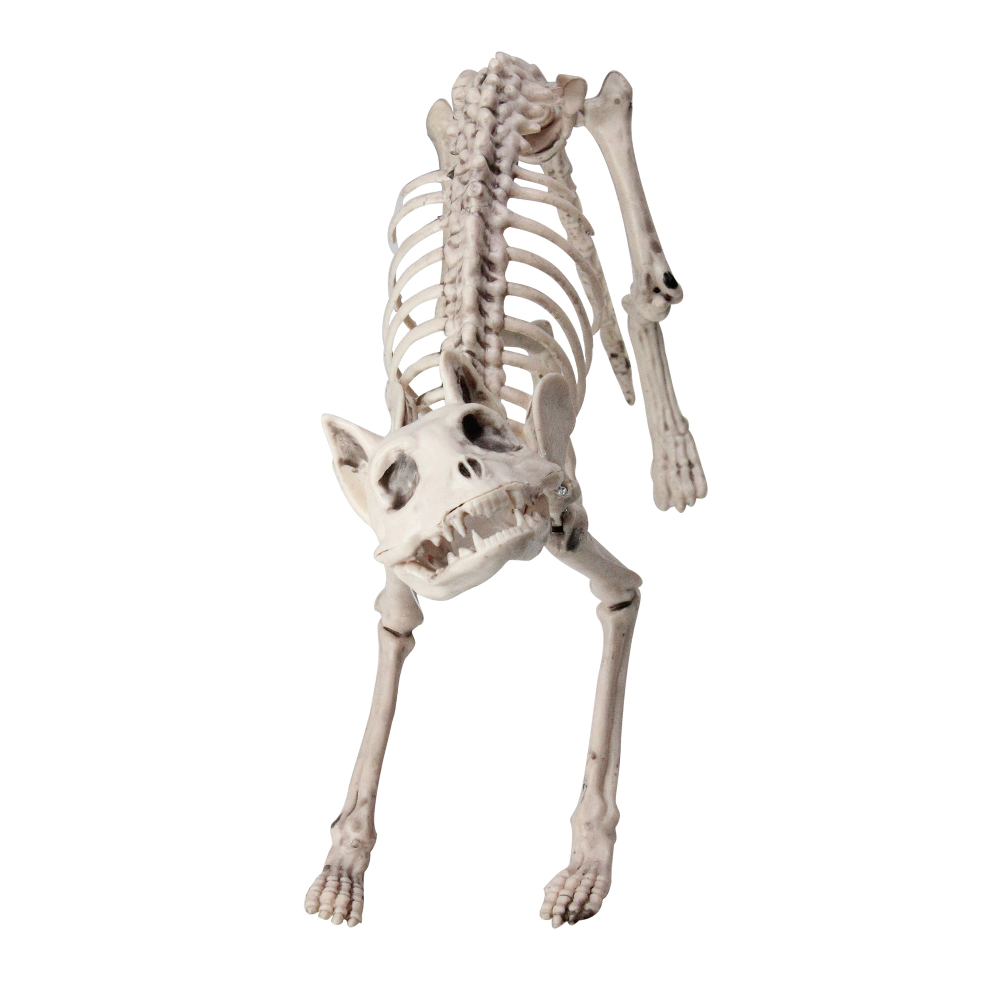 Northlight 18.5" Standing Skeleton Cat Halloween Decoration Ivory/Gray