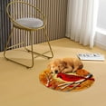 thumbnail image 4 of Latch Hook Rug Kit Red Northern Cardinal Window Scene Stamped Handmade Round Shape Carpet Crochet Yarn Craft DIY Hook and Latch Door Mat Tapestry for Christmas Home Floor Decor 50x50cm(2), 4 of 7