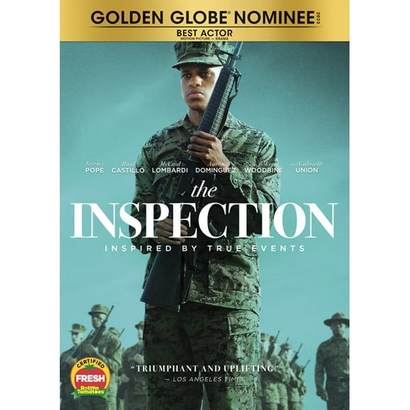 The Inspection (DVD) Standard