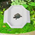 thumbnail image 6 of Serenable Reptile Bathing Pool Tortoise Water Bowl Aquarium Ornament Tank Decoration Feeding Dish Tortoise Feeder for Turtle Gecko, 6 of 10