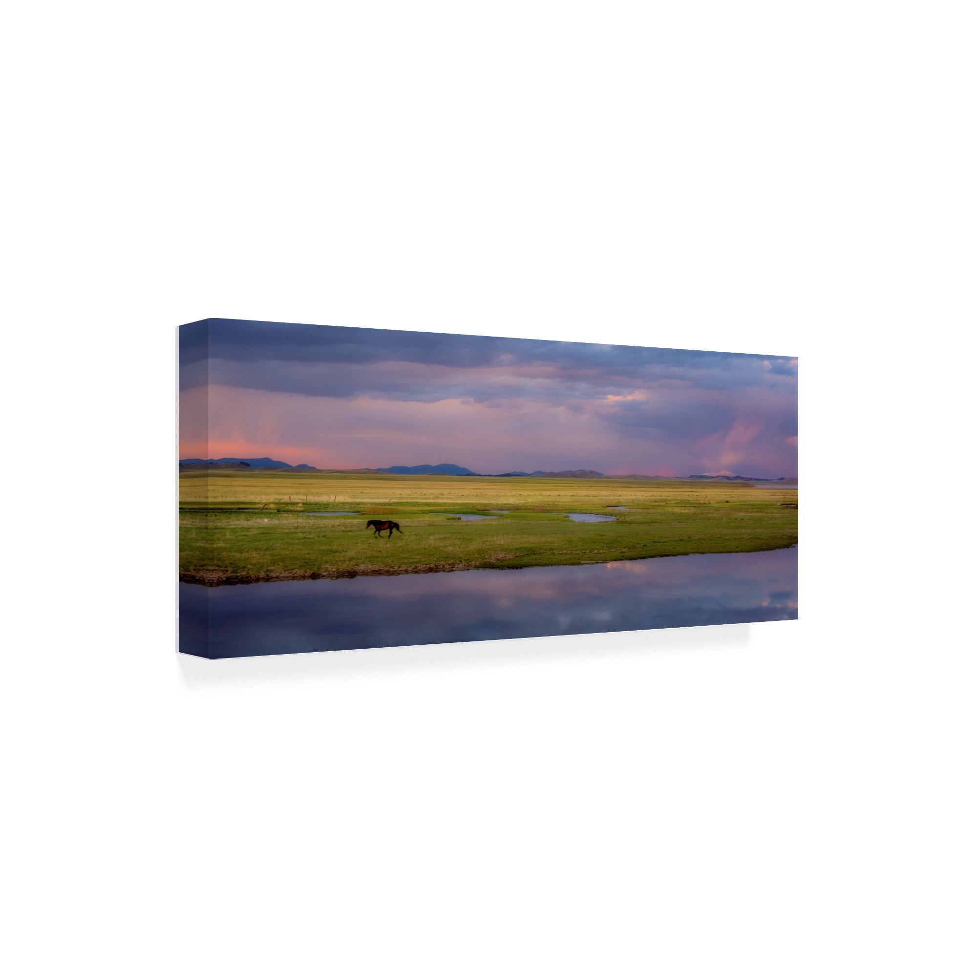 Trademark Fine Art 'Lone Horse' Canvas Art by Dan Ballard