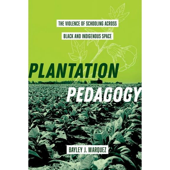 American Crossroads Plantation Pedagogy: The Violence of Schooling Across Black and Indigenous Space Volume 72, (Hardcover)