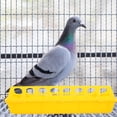 thumbnail image 3 of 2pcs Portable Bird Feeding Holders Pigeon Feeder Containers Chicken Feeder Troughs, 3 of 7