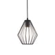 thumbnail image 2 of Pantalla de jaula de metal de iluminación negra, pantalla de lámpara Lámpara de protección de lámpara Lámpara colgante Pantalla de luz para decoración Estilo A Sunnimix Jaula de hierro de iluminación, 2 of 8