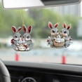 thumbnail image 4 of Skegnu Savings Clearance Easter Hanging Decoration Easter Bunny Color Cute 2D Pendant Gift for Boys, 4 of 7