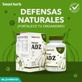 thumbnail image 4 of Smart Herb Paquete Inmune ADZ, Suplemento Alimenticio, 2 Piezas (30 Cápsulas c/u) con Ajo, Vitamina D3 y Zinc para Fortalecer el Sistema Inmunológico, 4 of 9