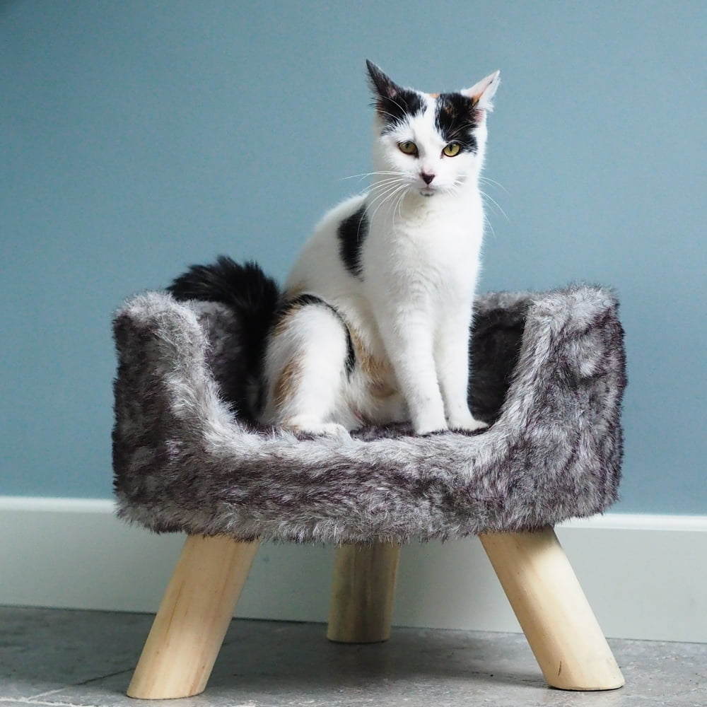 District 70 Nordic Cat Bed, Raised Cat Bed, Modern Design, Luxury Faux
