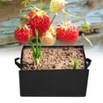 thumbnail image 1 of Bolsa para plantas vegetales NikouMX S 40*30*20 cm, 1 of 8