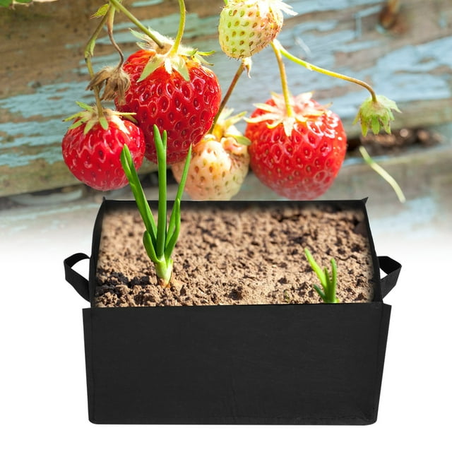 Bolsa para plantas vegetales NikouMX S 40*30*20 cm