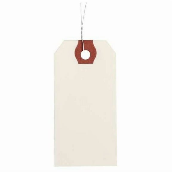 Manufacturer Varies Blank Shipping Tag,Paper,Colored,PK1000 4WKY4