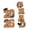 Orange, variant on 2026 Graduation Yard Sign with Stake, Outdoor Congrats Grad Garden Decoration, Class of 2026 Party Lawn Sign, Reusable Graduation Party Prop, Front Yard, Garden, or Sidewalk Decor,
