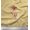 Pale Orange, variant on Soimoi Cotton Duck Fabric Leaves & Wild Flower Print Fabric by the Yard 42 Inch Wide
