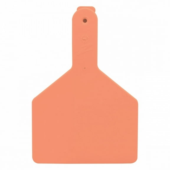 Z Tags 25 Count 1-Piece Blank Tags for Cows, Orange