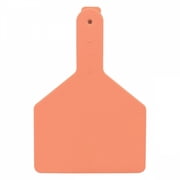 Z Tags 25 Count 1-Piece Blank Tags for Cows, Orange