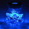 thumbnail image 4 of Regalo navideño de Laklulu para mujeres: botella de deseos con rosas frescas y luces de colores, 4 of 6