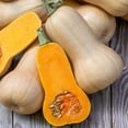 thumbnail image 4 of Burpee Organic Waltham Butternut Winter Squash Vegetable Seed, 1-Pack, 4 of 5