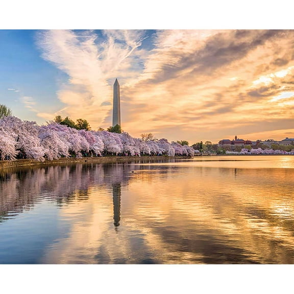 The Tidal Basin, a 1000-piece Puzzle by Pigment & Hue