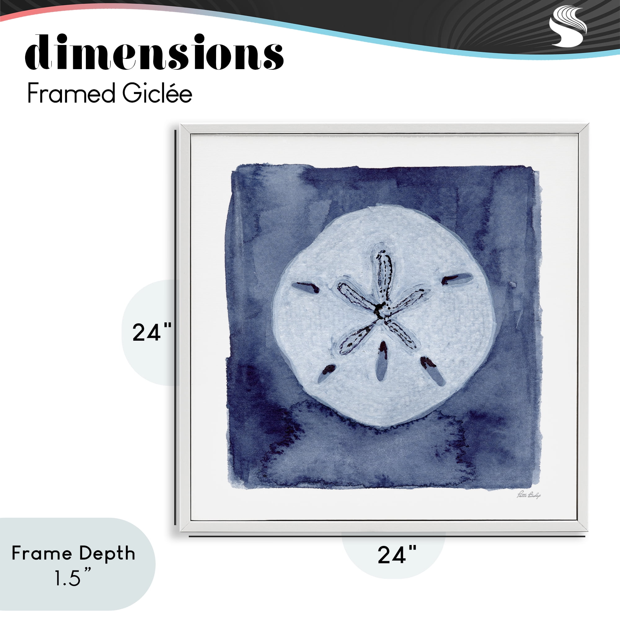 Stupell Industries White Sand Dollar on Indigo White Framed Giclee Art, design by Patti Bishop