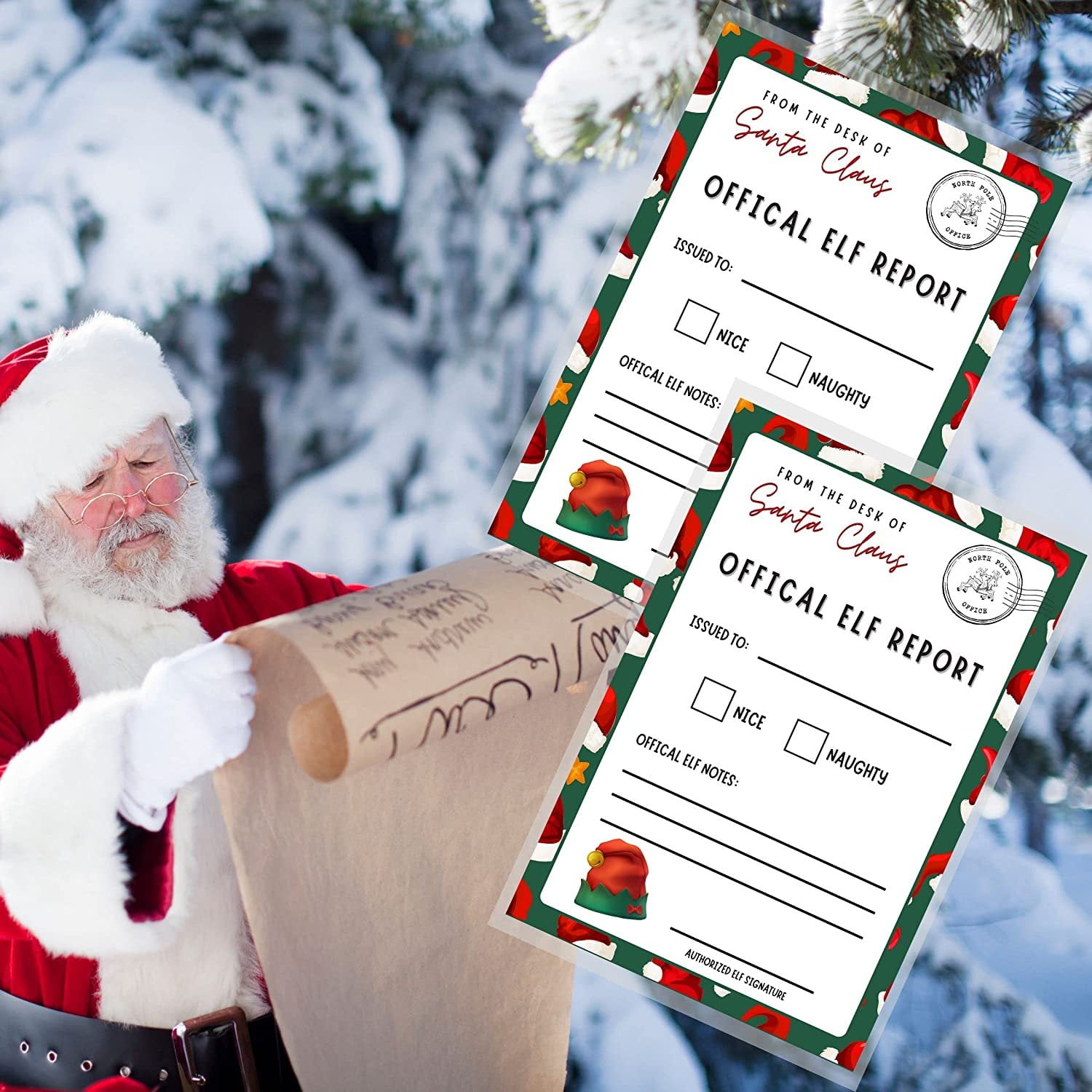 Noel様 リクエスト 4点 まとめ商品 Official Elf Report Card Mail for Santa Naughty Nice 30 pk