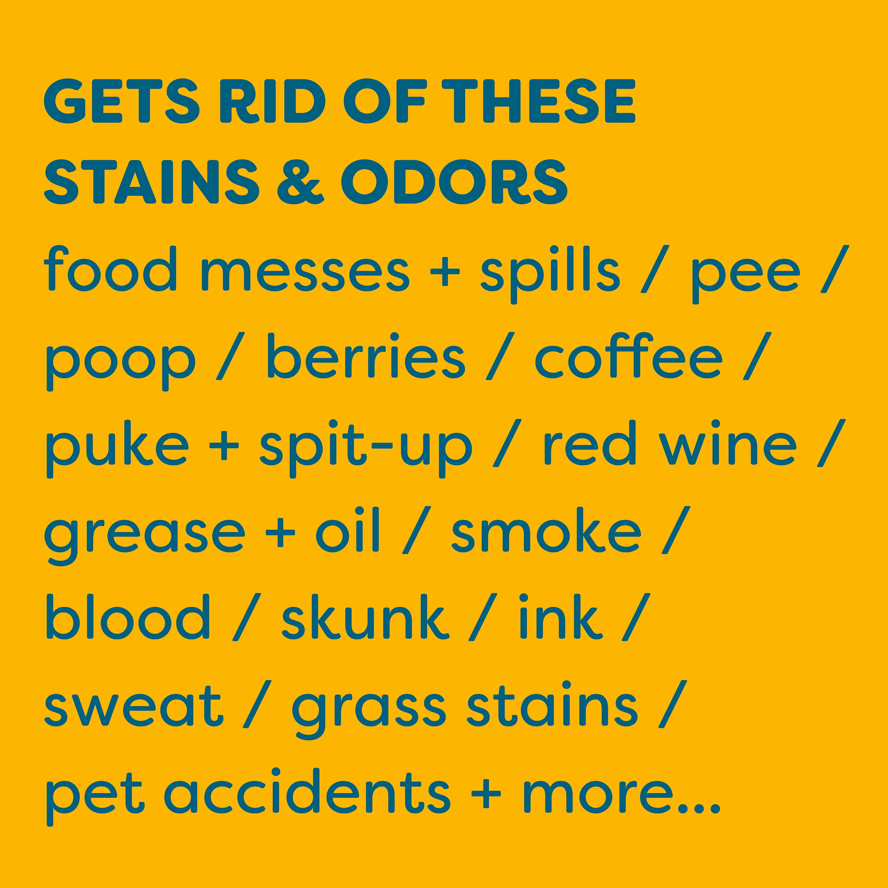 Kids ‘N’ Pets All-Purpose Stain & Odor Remover Spray, 27oz