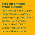 thumbnail image 6 of Kids ‘N’ Pets Stain + Odor Remover cleans even dog, cat urine smells, spots from carpet, couch - 27oz, 6 of 12