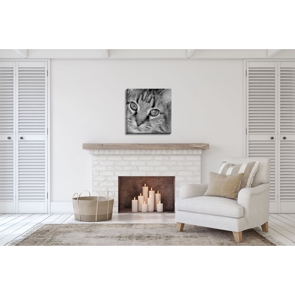 Gango Home Decor Contemporary Cat Eyes B&W I by Monika Burkhart (Ready to Hang); One 24x24in Hand-Stretched Canvas