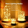 thumbnail image 3 of DAYBETTER 24Pack Fairy Lights, Total 480 LED Mini String Lights, 168FT Battery Operated, 3 Lighting Modes for Bedroom, Party, Wedding, 3 of 8