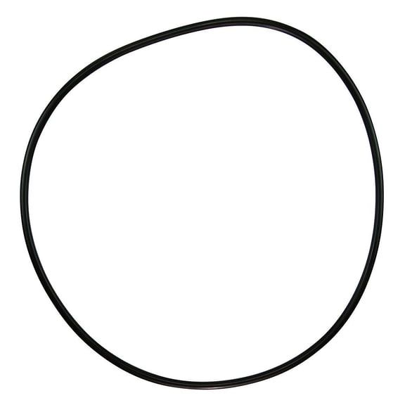 Pentair 071433 O-Ring Replacement C-Series C-18 Commercial Pool and Spa Pump