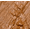 AMBER GLOW, variant on "Palladio BUILD + BLEND Foundation Stick, Contour Stick for Face, Professional Makeup for Perfect Look, 0.25 Ounce (Natural Ivory)"