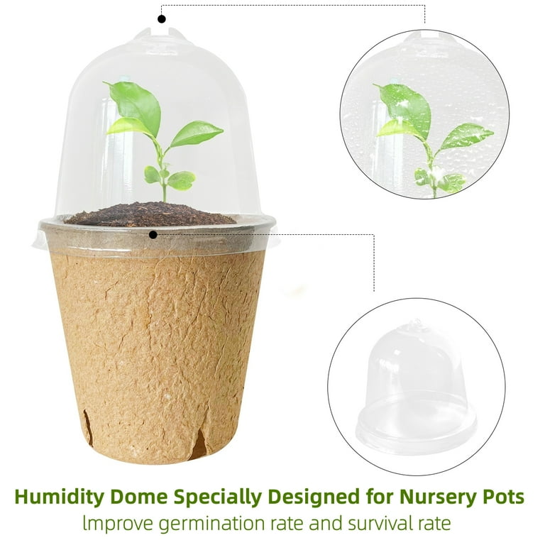 How to Improve Germination Rates Outdoors: Expert Tips