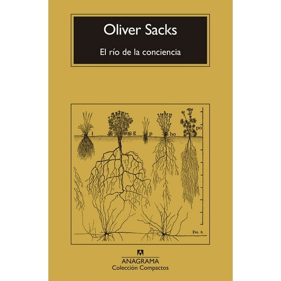 RÃ­o de la Conciencia, El, (Paperback)
