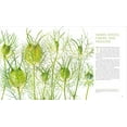 thumbnail image 6 of Seeing Seeds - Hardcover, 6 of 6